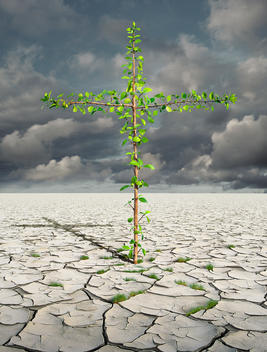 Tree In The Shape Of A Cross Emerging From A Dry Lake Bed With A Stormy Sky.