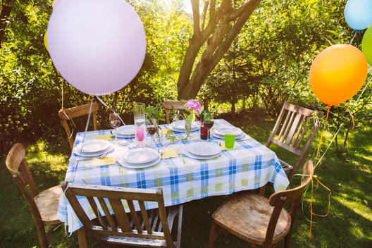 Party table in garden with plates and glasses