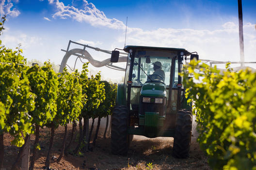 Farmer spraying vineyards from tractor