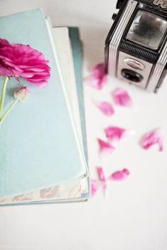 A still life vignette featuring a stack of pale blue vintage books with a pink flower resting on top. A vintage camera and petals lies beside the books. A textured image looking down upon the items.