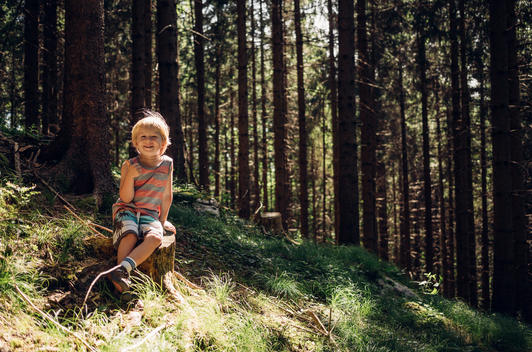3 year old blonde boy in striped shirt sitting on tree stump in forest in Austria.