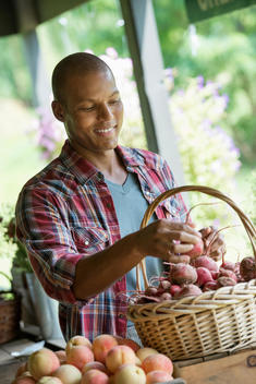 A farm stand with fresh organic vegetables and fruit. A man sorting beetroot in a basket.