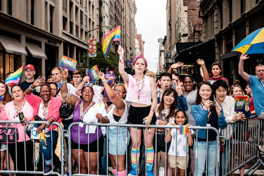 Supporters cheer the marchers as they watch at the 2015 NYC Pride March (Gay Pride Parade).