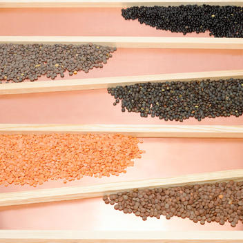 Various dried lentils, elevated view