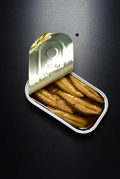 Still life of an open can of anchovies on a black background.