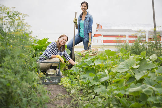 Mother and daughter harvesting vegetables in garden