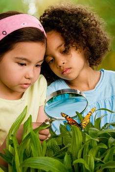 Girls looking at butterfly with magnifying glass