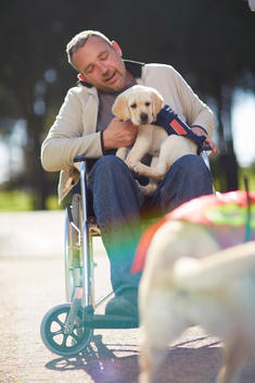 Man in wheelchair with dog puppy in park
