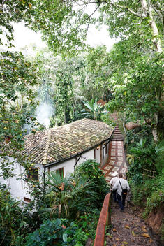 Jungle cabin, central America