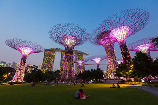 Singapore, Gardens by the bay, Supertree Grove