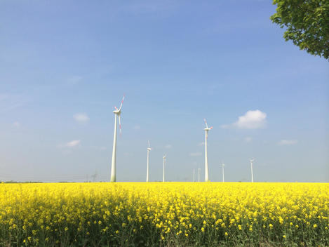 Wind turbine on a rape field in Brandenburg, Germany