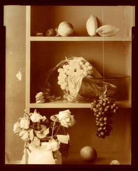 Fruit And Flowers
