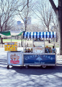Food Cart Central Park