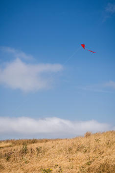 red Kite flying against blue sky and Landscape