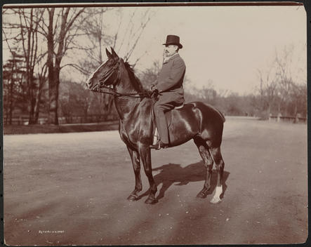 Horses, Mr. R.H. Halstead And Friends Riding And Driving In Central Park.