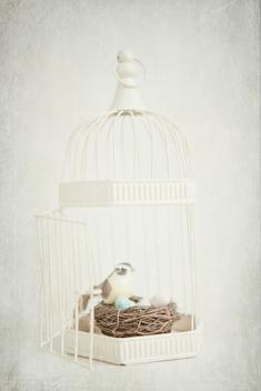 A still life of a birds nest with bird and pale blue eggs inside a white open bird cage.