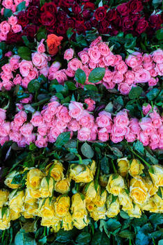Stacks of roses for sale in market