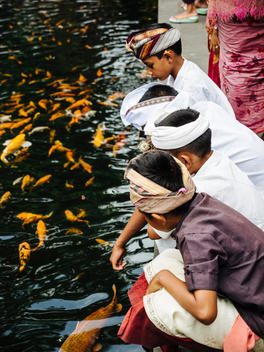 Balinese children feed the koi during celebrations at Tirtha Empul Temple outside Ubud, Bali, Indonesia. (A water temple whose springs are known for their healing powers.)