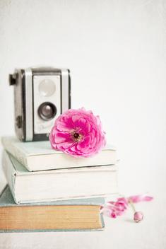 A still life vignette featuring a stack of vintage books with a vintage camera and a pink flower resting on top. A pink bud and petals lies beside the books. A textured image