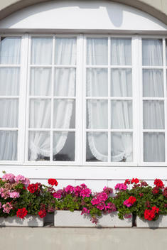 house window with flowers in window boxes