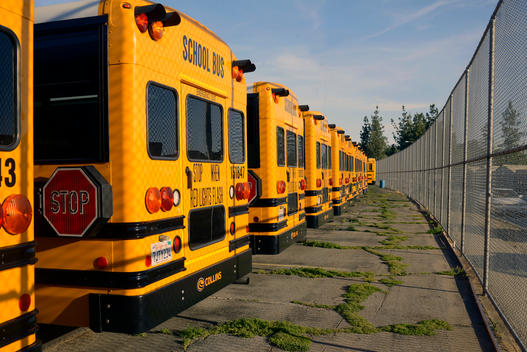 A row of yellow school buses in a public schoolyard, the unkpt grounds suggesting the cracks and shortages of the public education budget.