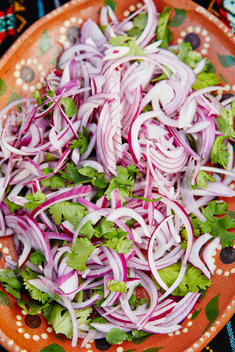 Close up of bowl of sliced red onions and cilantro