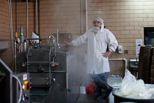 A Man Supervises The Making Of Fresh Mozzarella Cheese In A Cheese Making Room.