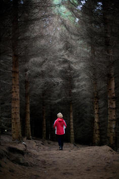 Woman Standing In Clearing In Woods