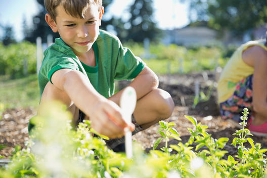 Boy placing plant labels in garden