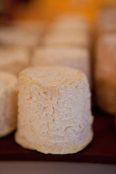 Close Up Of Gourmet Cheese With Shallow Depth Of Field