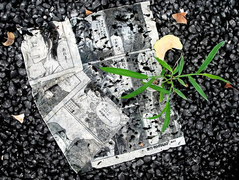 Plant With A Manga Comic On The Floor