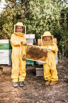 Portrait of young girl and boy in beekeeper dress holding hive frame full of bees