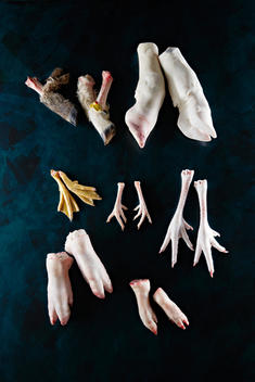 animal\'s feet: lamb, calf, duck, chicken, goose, pig, piglet