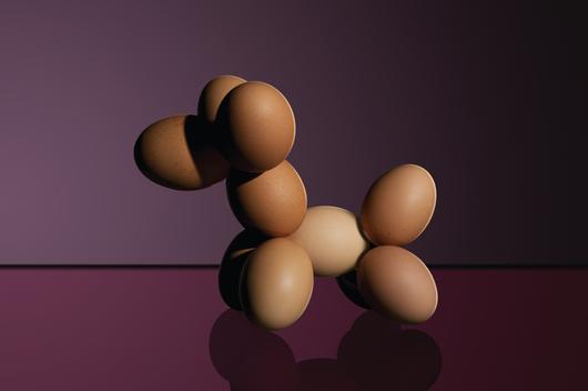 brown eggs sculpted together to look like a balloon animal dog