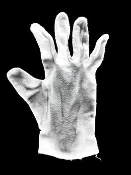 Still-Life Of Glove