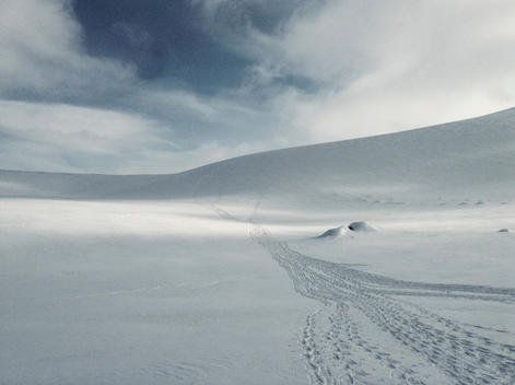 Arctic snow field