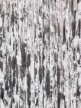 Weathered wooden wall of a shed, Heeslingen, Lower Saxony, Germany
