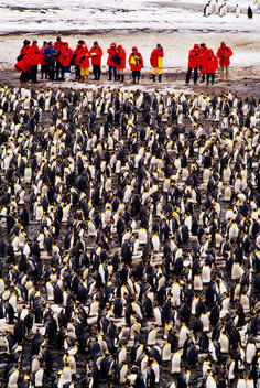 Tourists visiting King Penguin colony, South Georgia Island