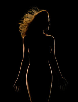 Silhouette Of Nude Woman.