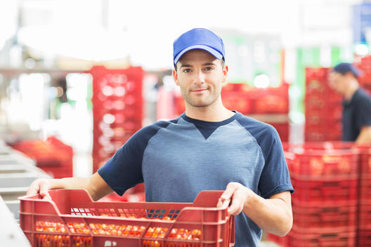 Portrait of confident worker holding crate of tomatoes in food processing plant