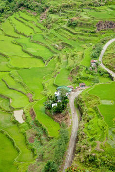 view from above over some rice terraces near Hapao, on the Philippine Cordilleras, an Unesco world heritage site. Unpaved road passing between the rice terraces and a few huts.