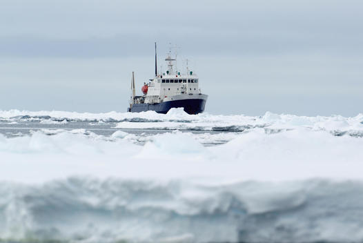 Adventure research ship Spirit of Enderby, ice floe in the southern ocean, 180 miles north of East Antarctica, Antarctica