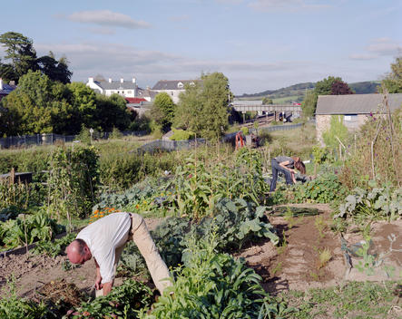 Two people work on their allotment beside a railway track in Totnes. Totnes is an ancient market town on the mouth of the river Dart in Devon. The town is attempting to become a blueprint for communities to make the change from a life dependent on oil to 