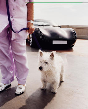 A Woman And Her Dog In Front Of A Tvr Car