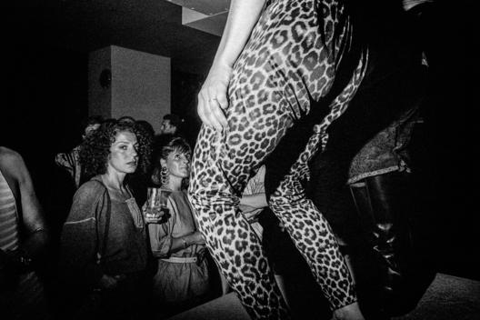 Leopard Skin Tights at club Area