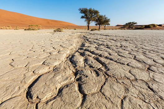 Cracked earth in dried lake bed in desert landscape