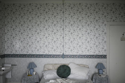 Wallpaper, Plates On Wall