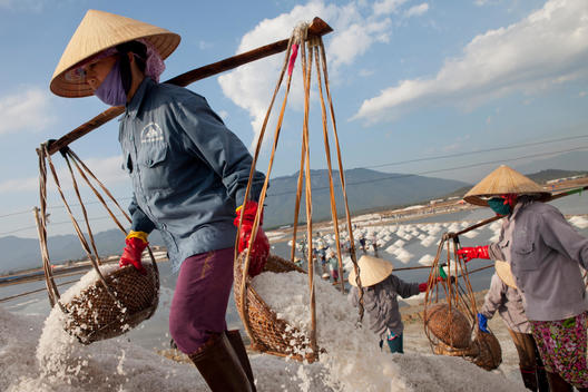 Workers gather salt into baskets and move it to larger piles where it is ready for transport.