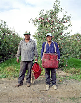 Two Immigrant Apple Pickers Standing In An Orchard.