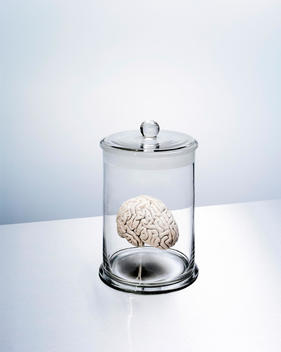 Human Brain In Jar